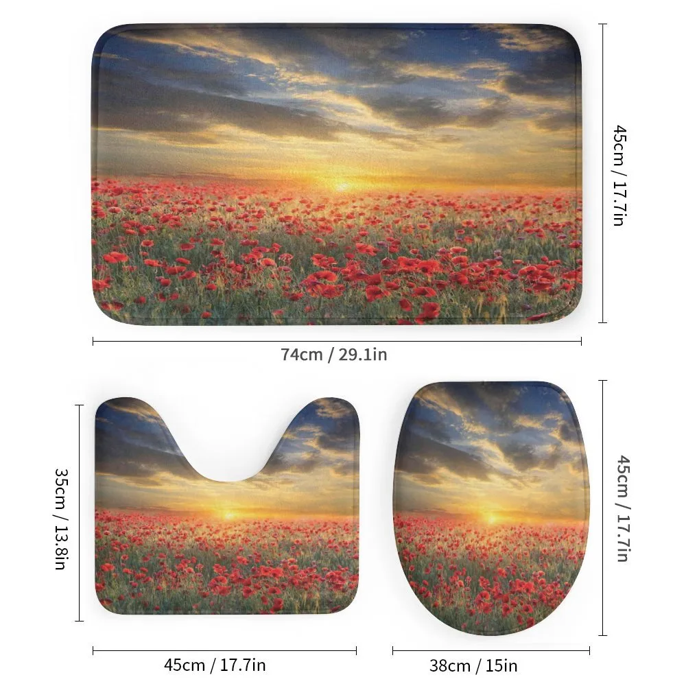 Scenic Field Sunset Sky — Detail 1