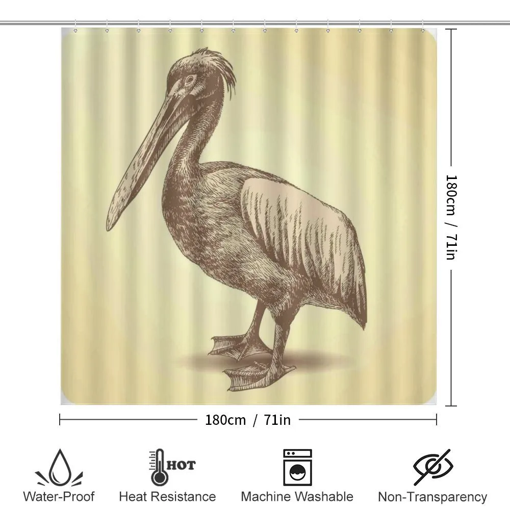Sketchy Pelican — Detail 2