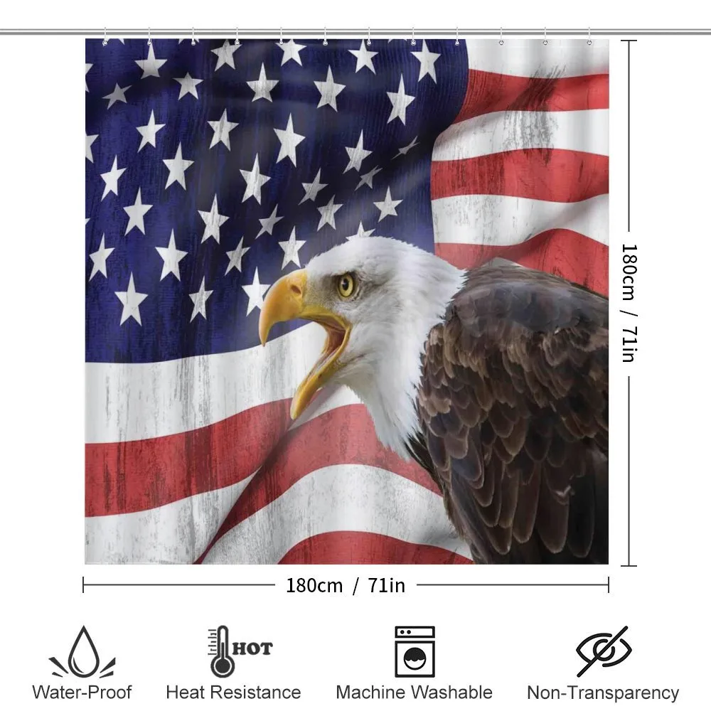 Bald Eagle — Detail 2