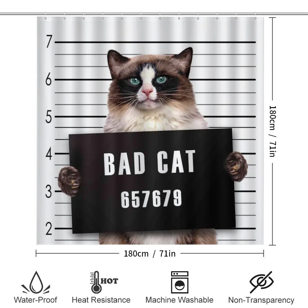 Jail Kitty Under Arrest — Detail 2