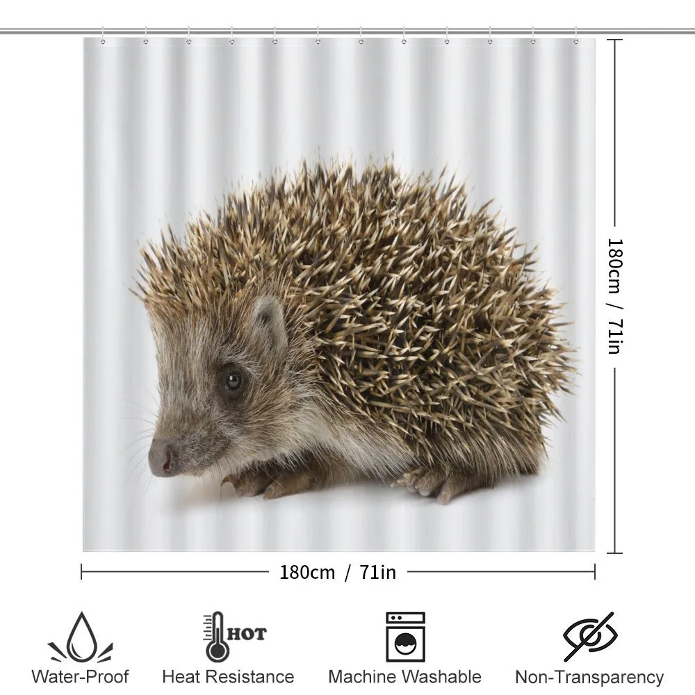 Small Mammal — Detail 2
