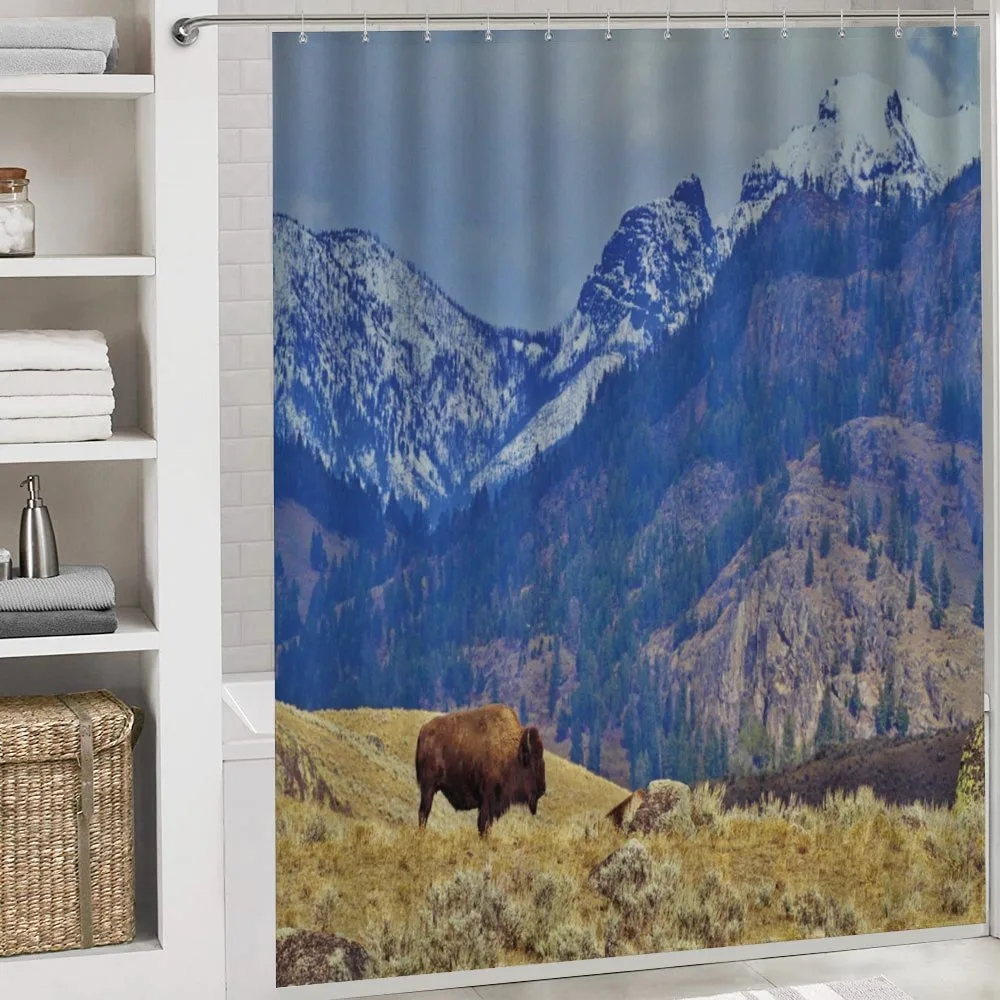 Bison and Snowy Mountains — Detail 4