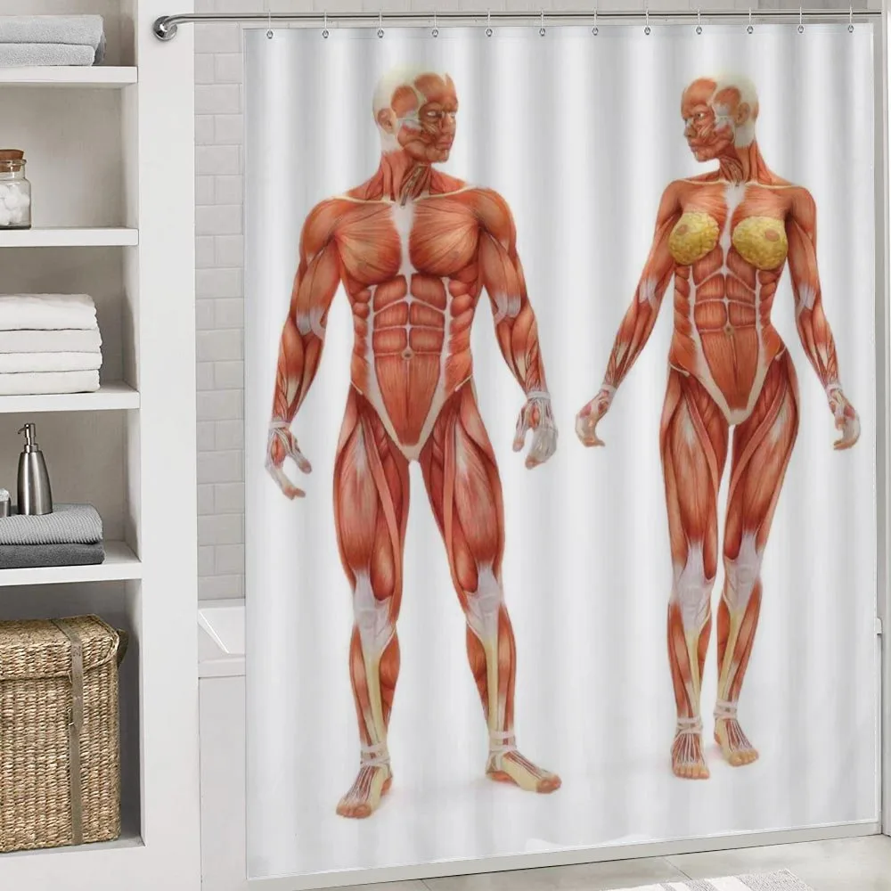 Male Human Body — Detail 4