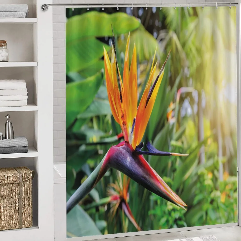 Bird of Paradise Flower — Detail 4