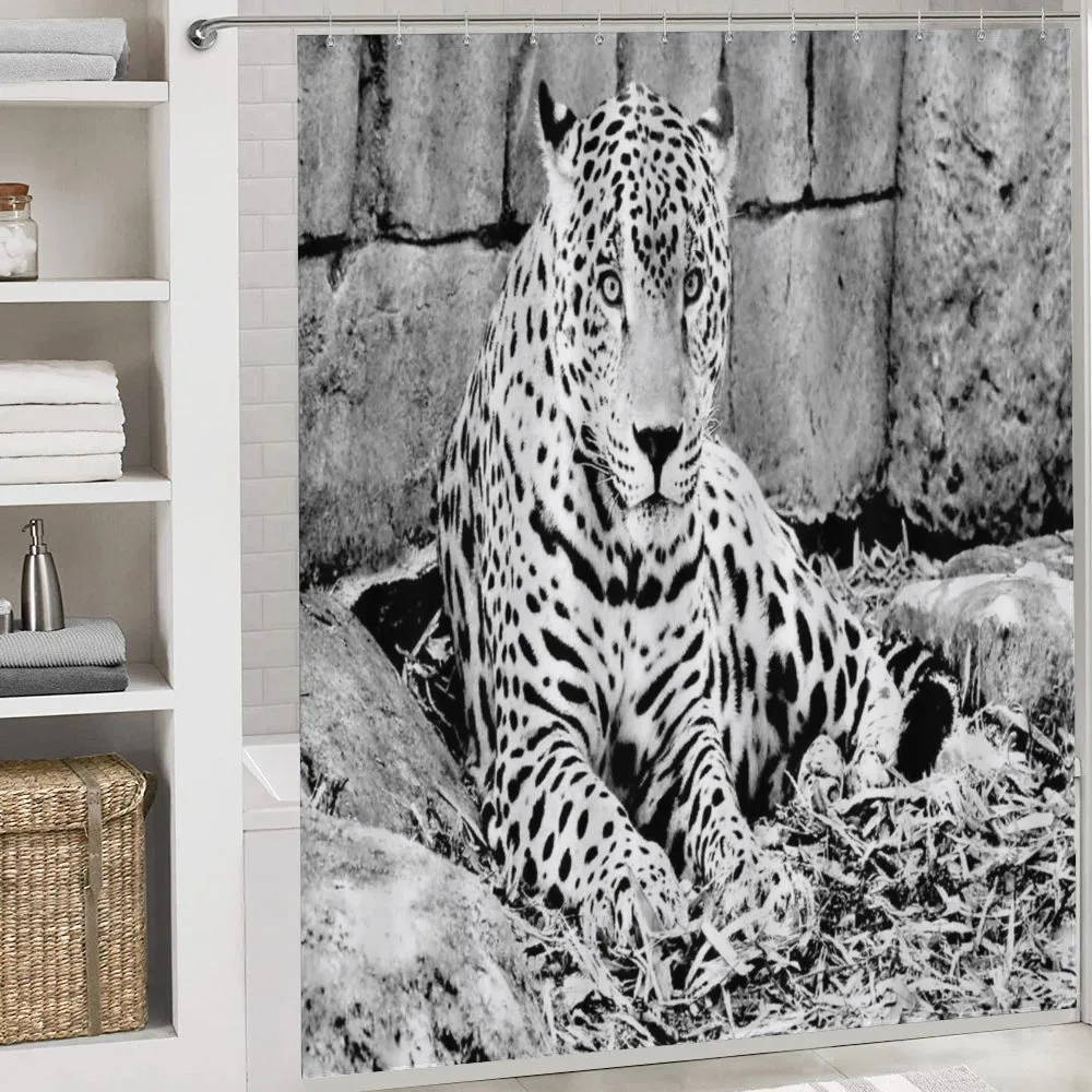 Wild Tiger Jaguar — Detail 4