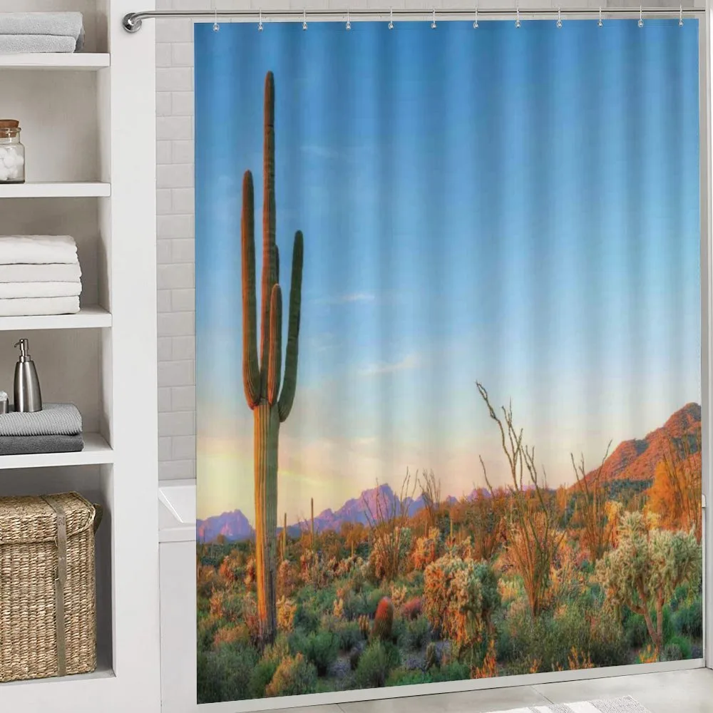 Cactus Sunset Landscape — Detail 4
