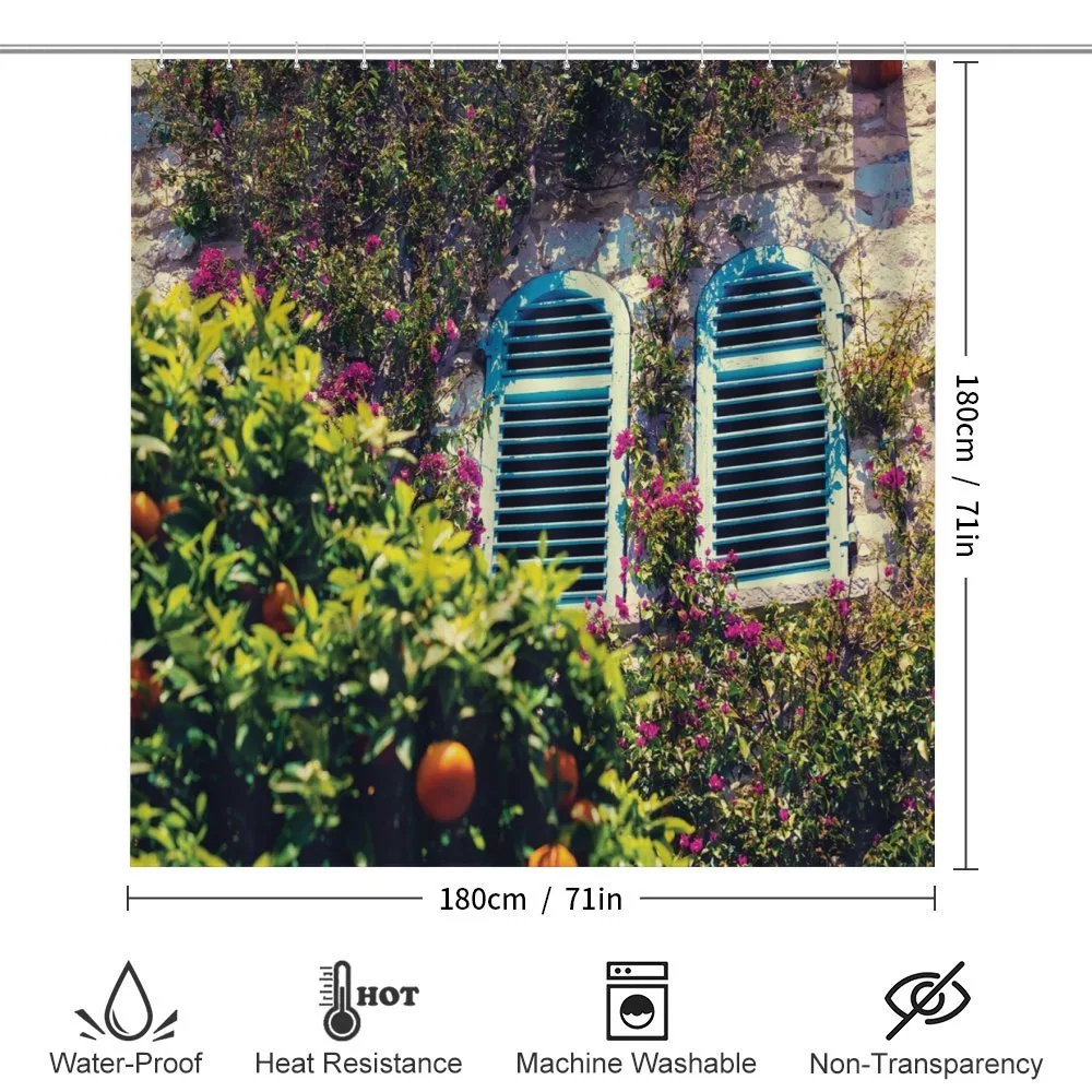 Old European House Mandarin — Detail 2