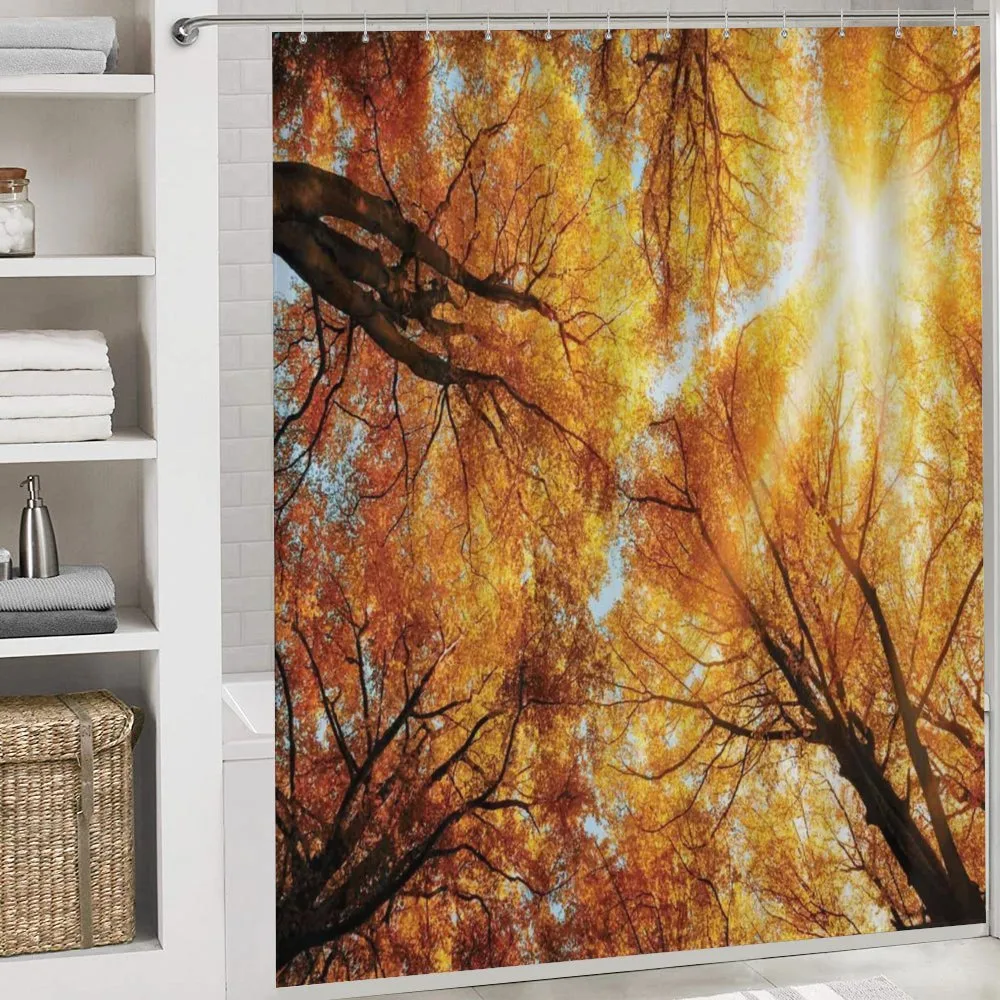 Autumn Sunbeams Forest — Detail 4