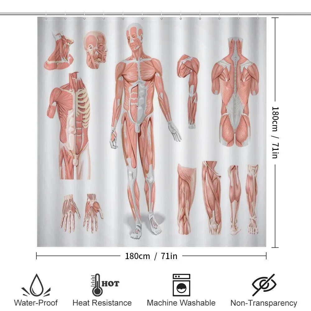 Biology Human Medical — Detail 2