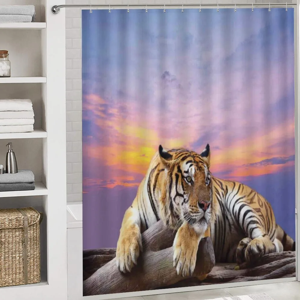 Tiger Colorful Sunset — Detail 4