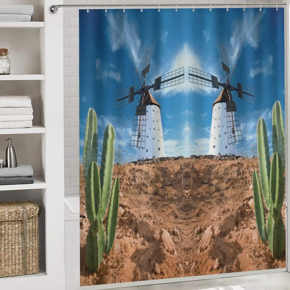 Windmill and Exotic Cactus — Detail 4