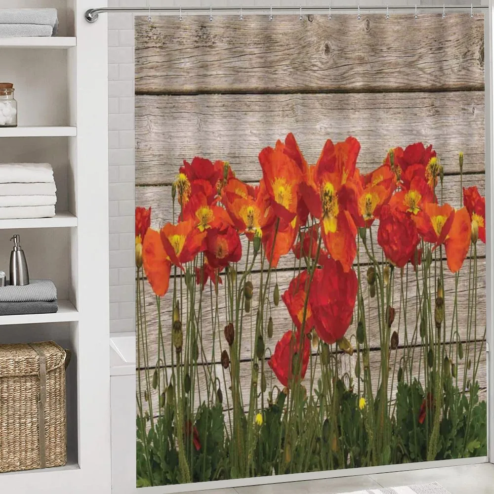 Blooming Poppy Flowers — Detail 4