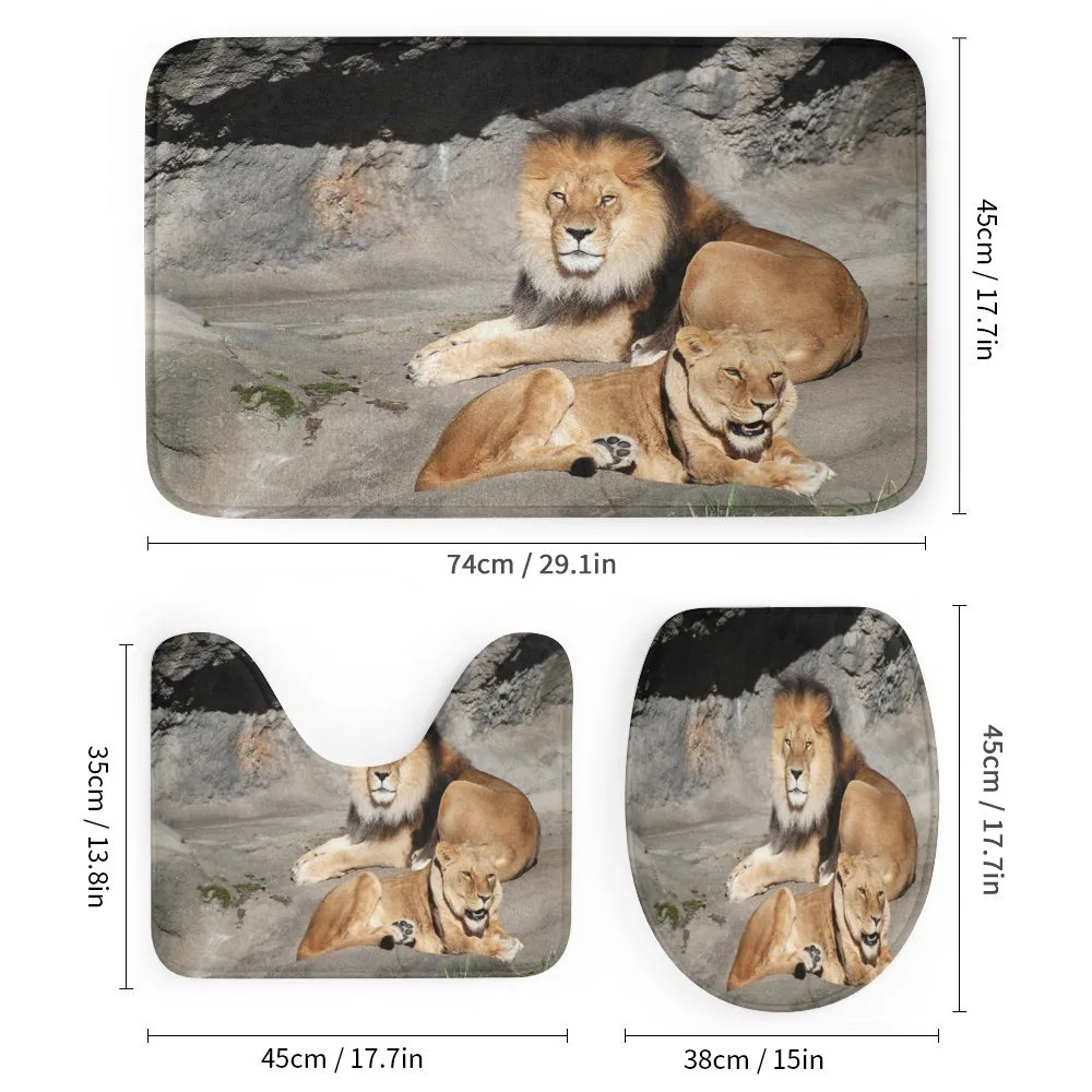 Lions Basking in Sun Jungle — Detail 1
