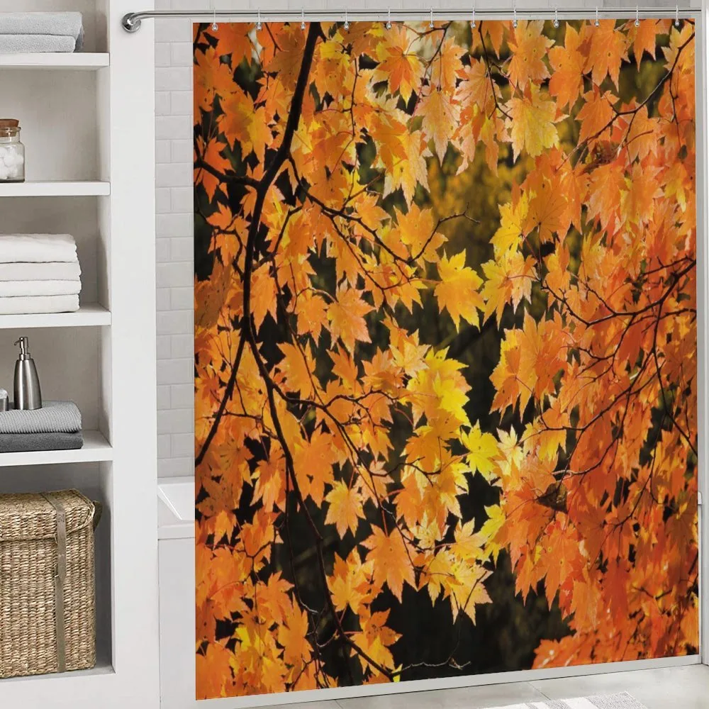 Vivid Autumn Maple Leaves — Detail 4
