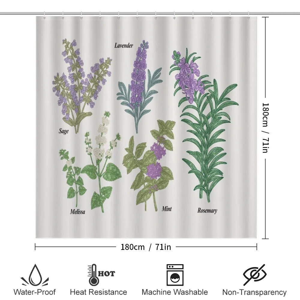Botanical Infographic Plants — Detail 2