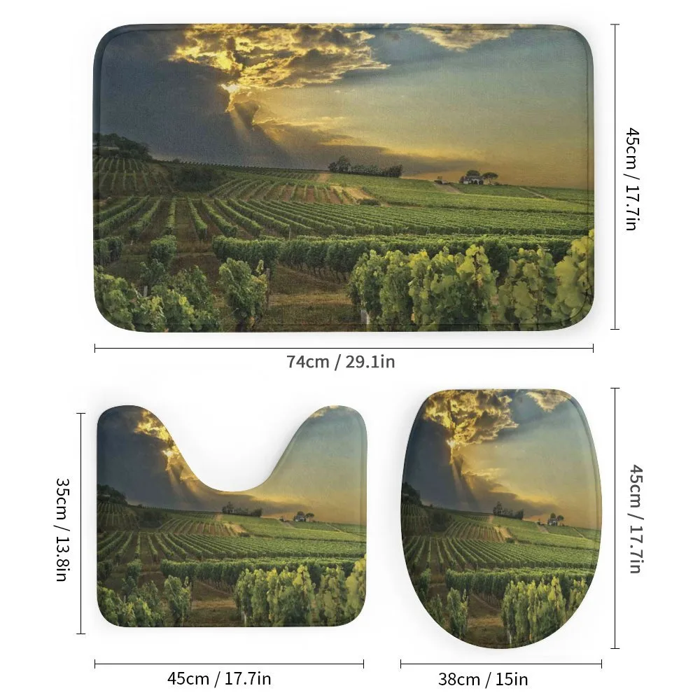 France Sunset Vineyard — Detail 1