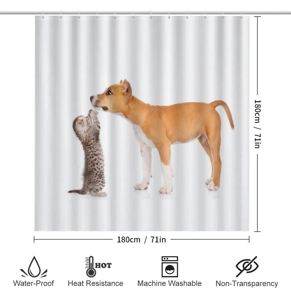 Kitten and a Stafford Puppy — Detail 2