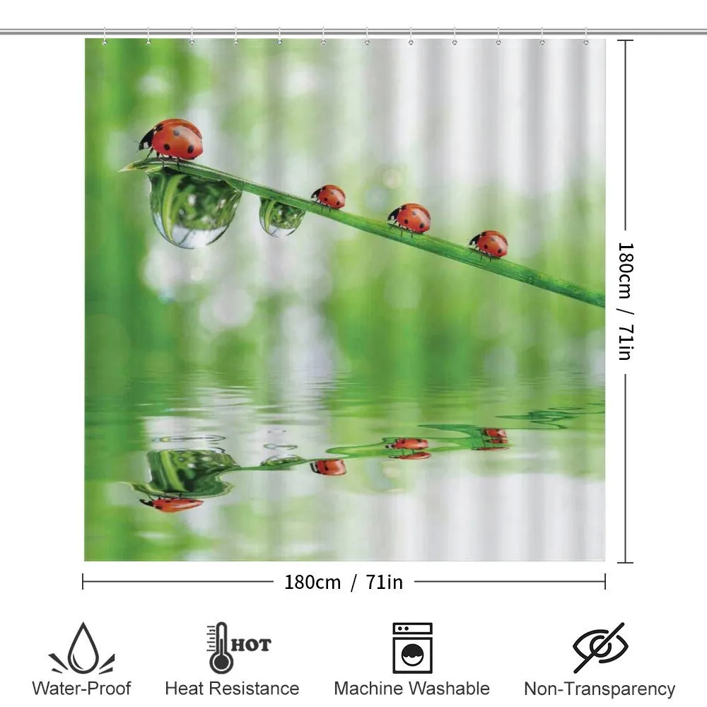 Ladybug on Water Image — Detail 2