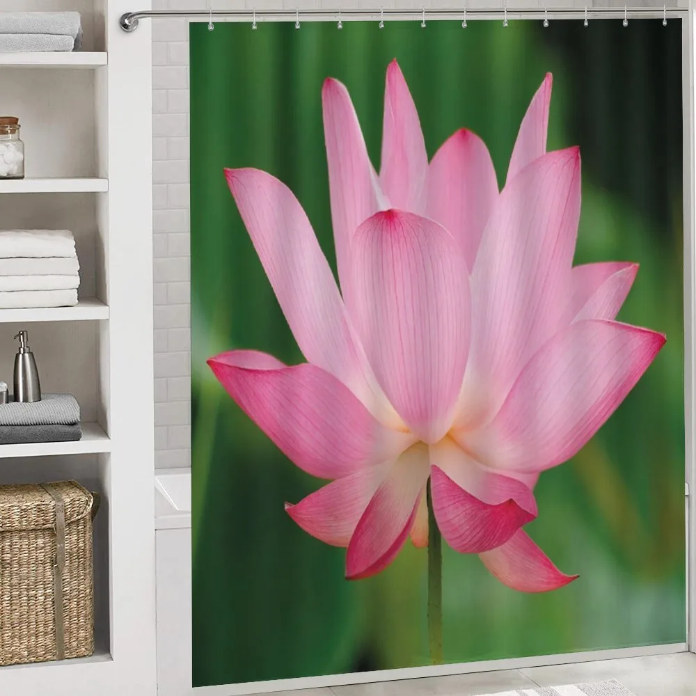 Lotus Lily Blossom — Detail 4
