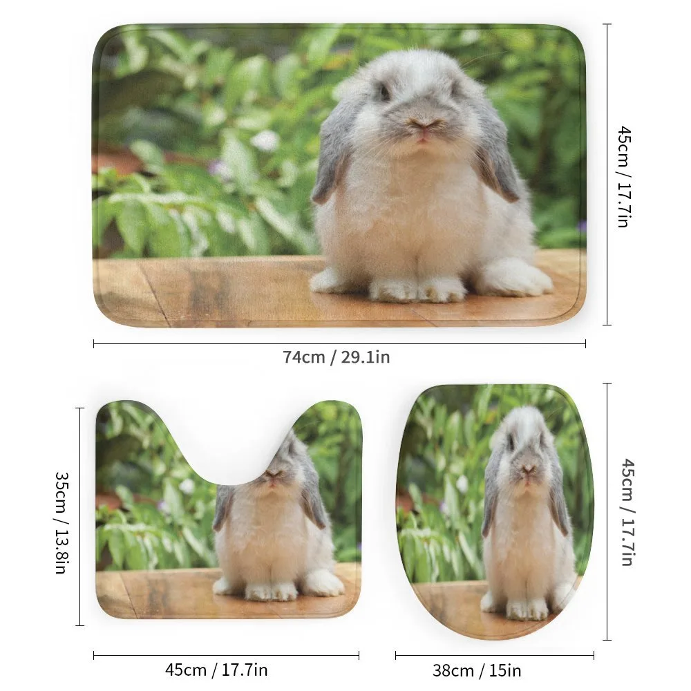 Photo of Holland Lop Rabbit — Detail 1