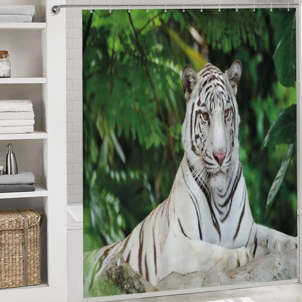 Albino Bengal Cat on Rock — Detail 4