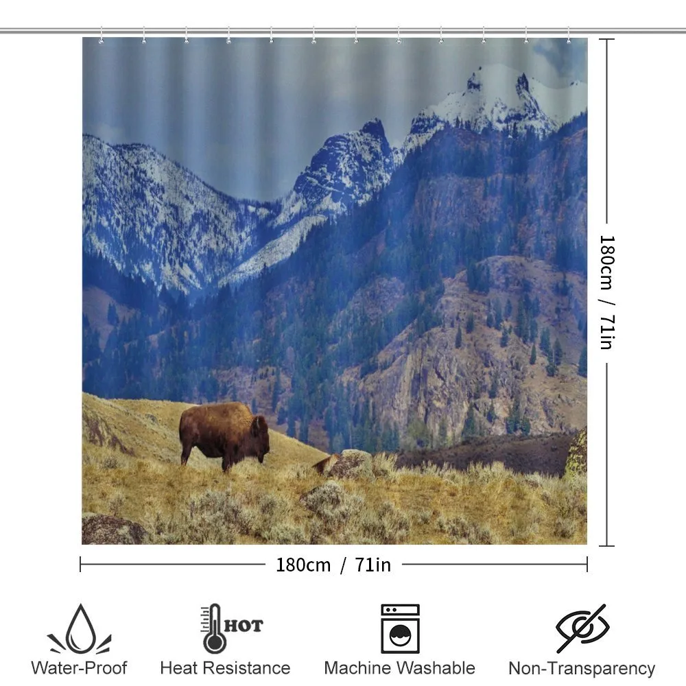 Bison and Snowy Mountains — Detail 2