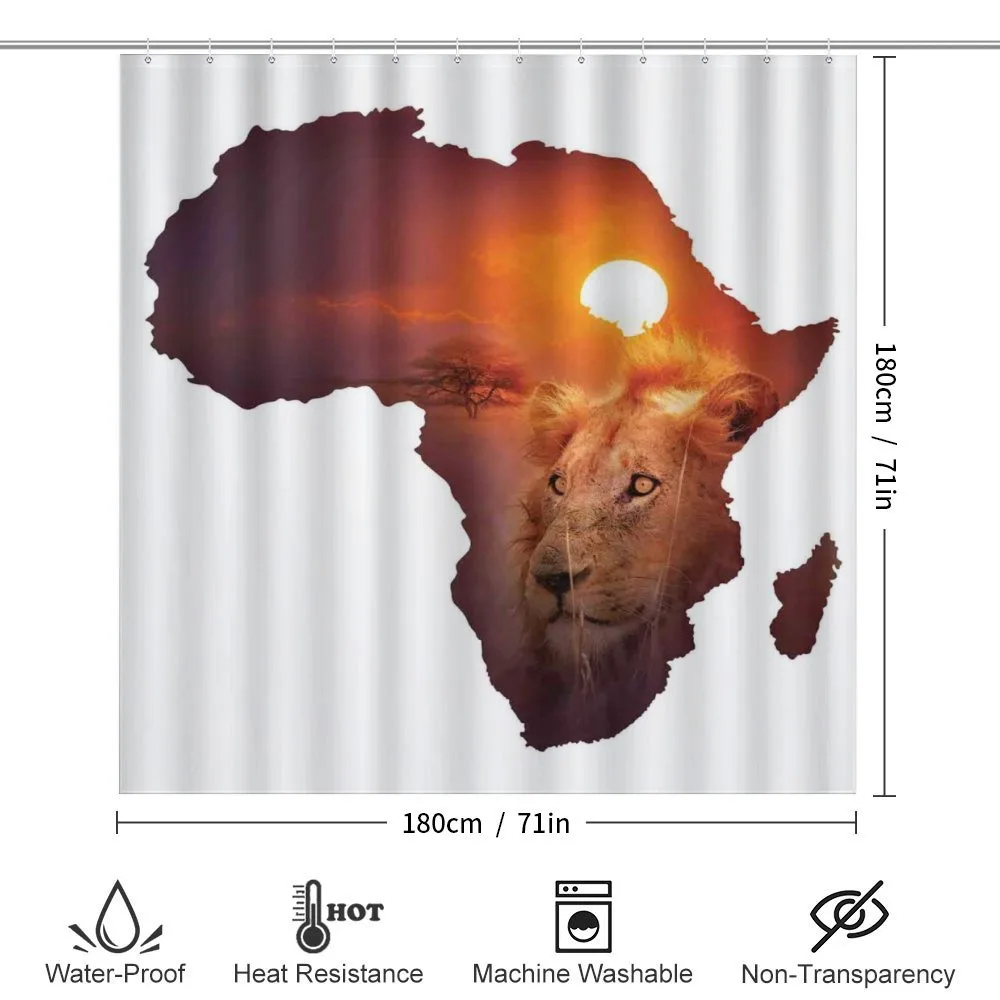 Lion and African Map Sunset — Detail 2