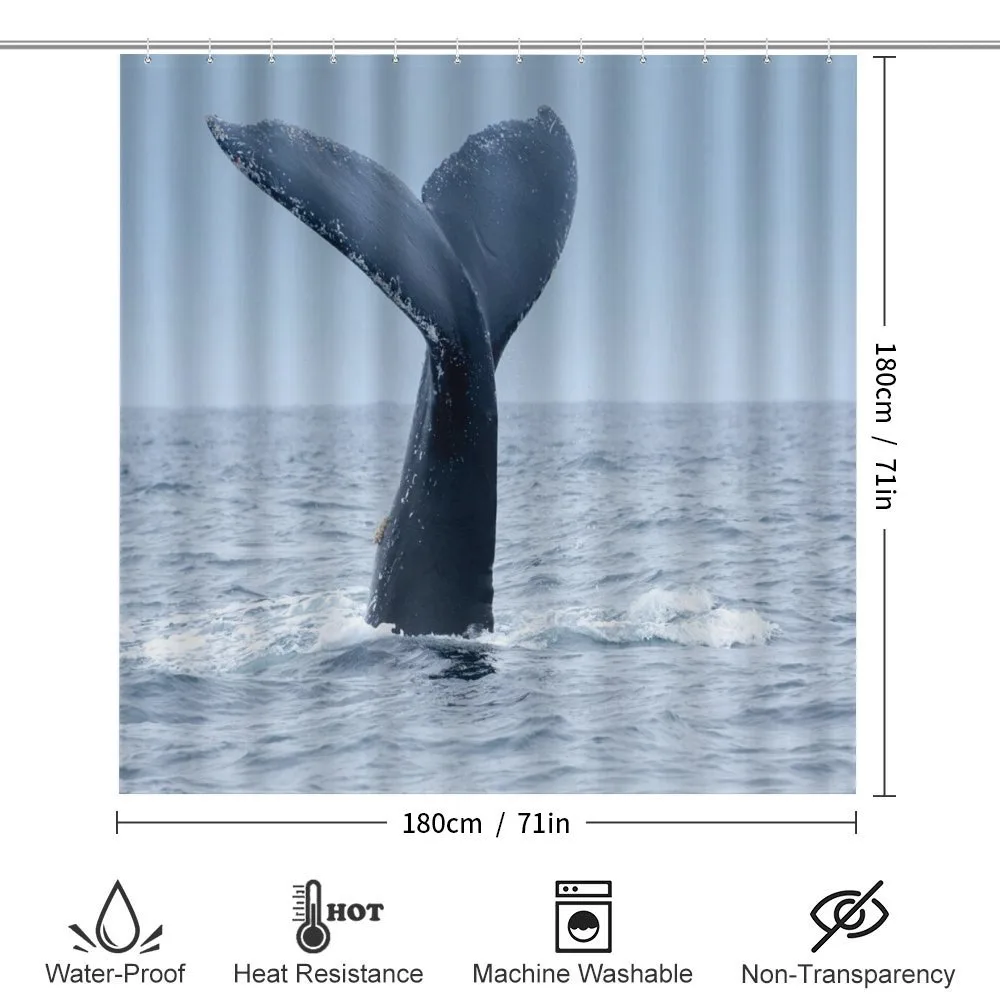Whale Tail Puerto Lopez — Detail 2