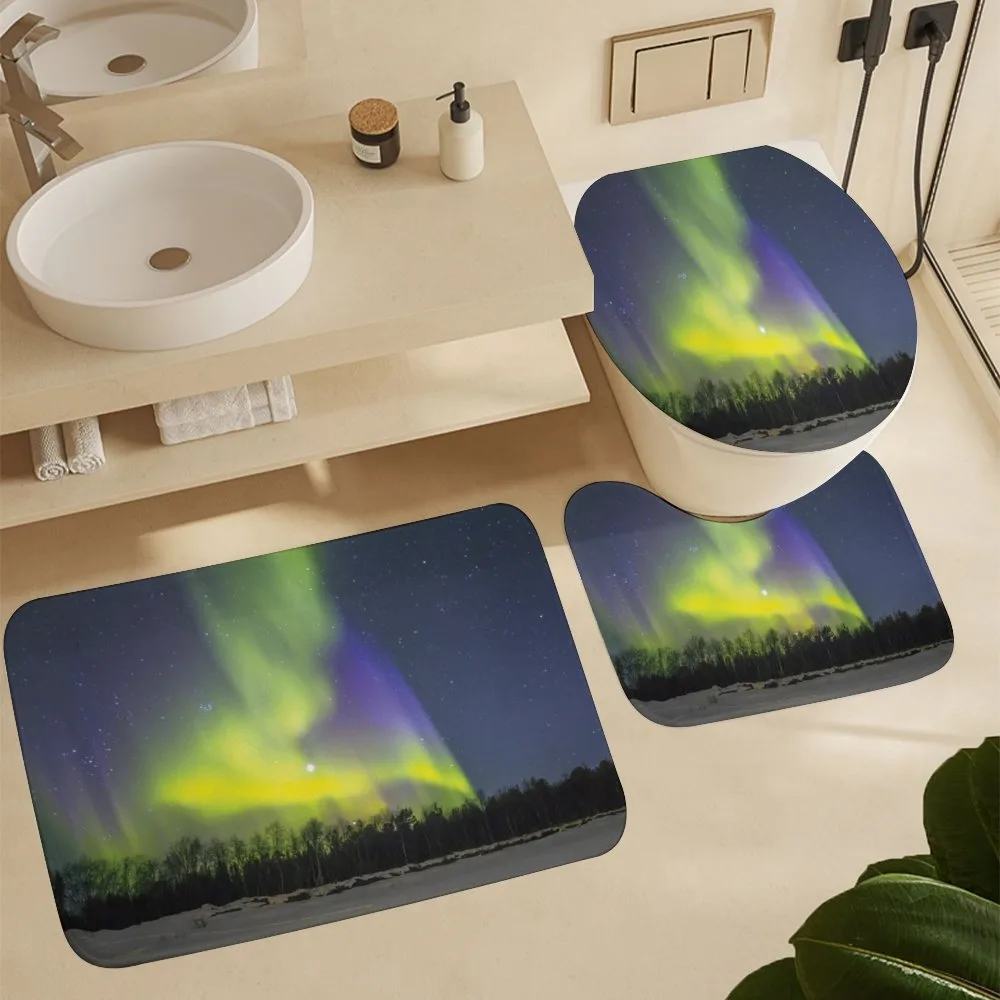Aurora Borealis Forest — Detail 5