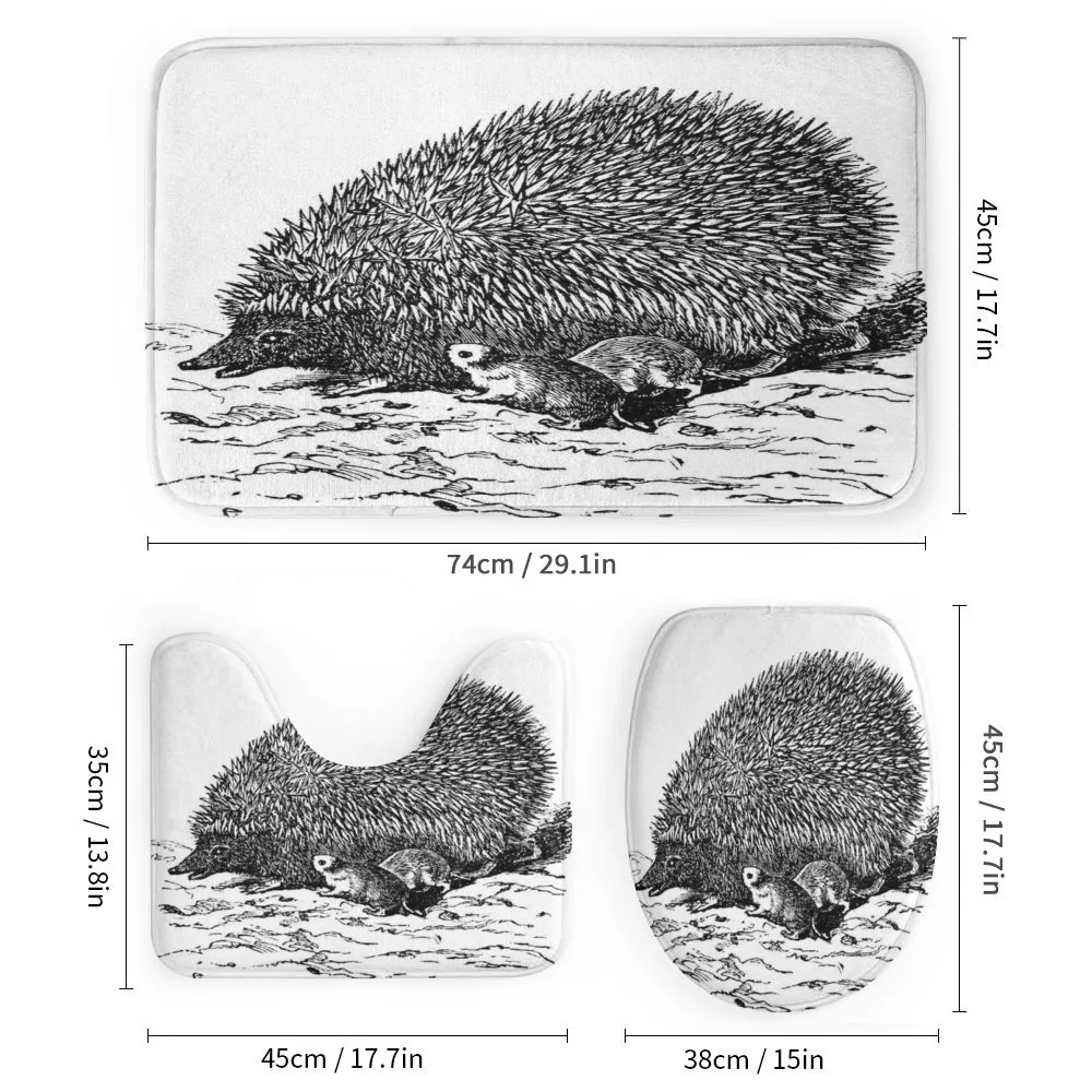 European Hedgehog — Detail 1