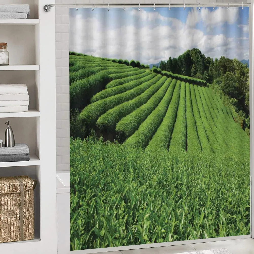 Sunny Landscape Tea Fields — Detail 4