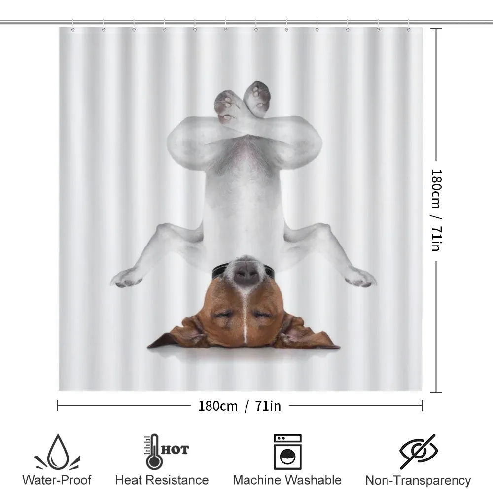 Dog Upside down Relax — Detail 2