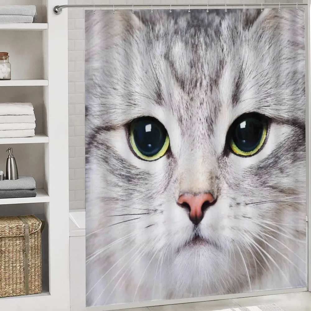 Face of a Domestic Kitty — Detail 4