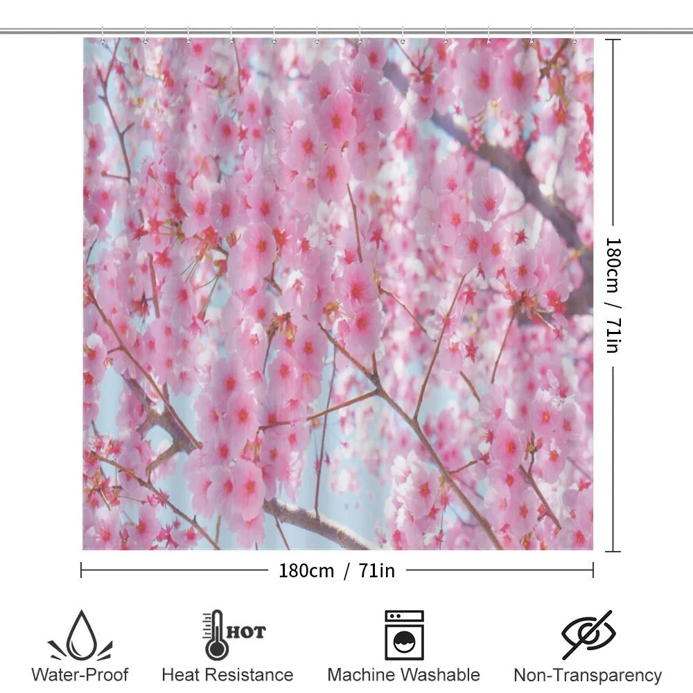 Japanese Sakura Flowers — Detail 2