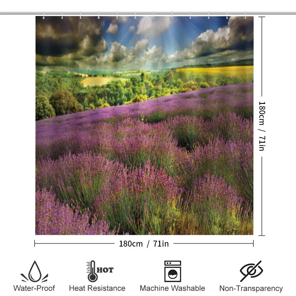 Lavender Field Photo — Detail 2