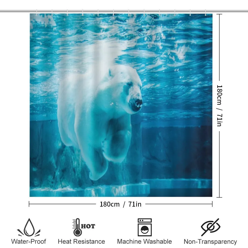 Arctic Polar Underwater — Detail 2