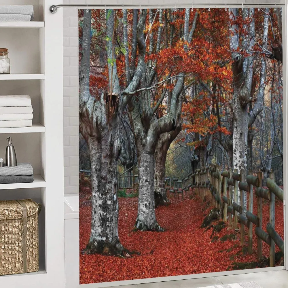 Beech Forest Autumn — Detail 4