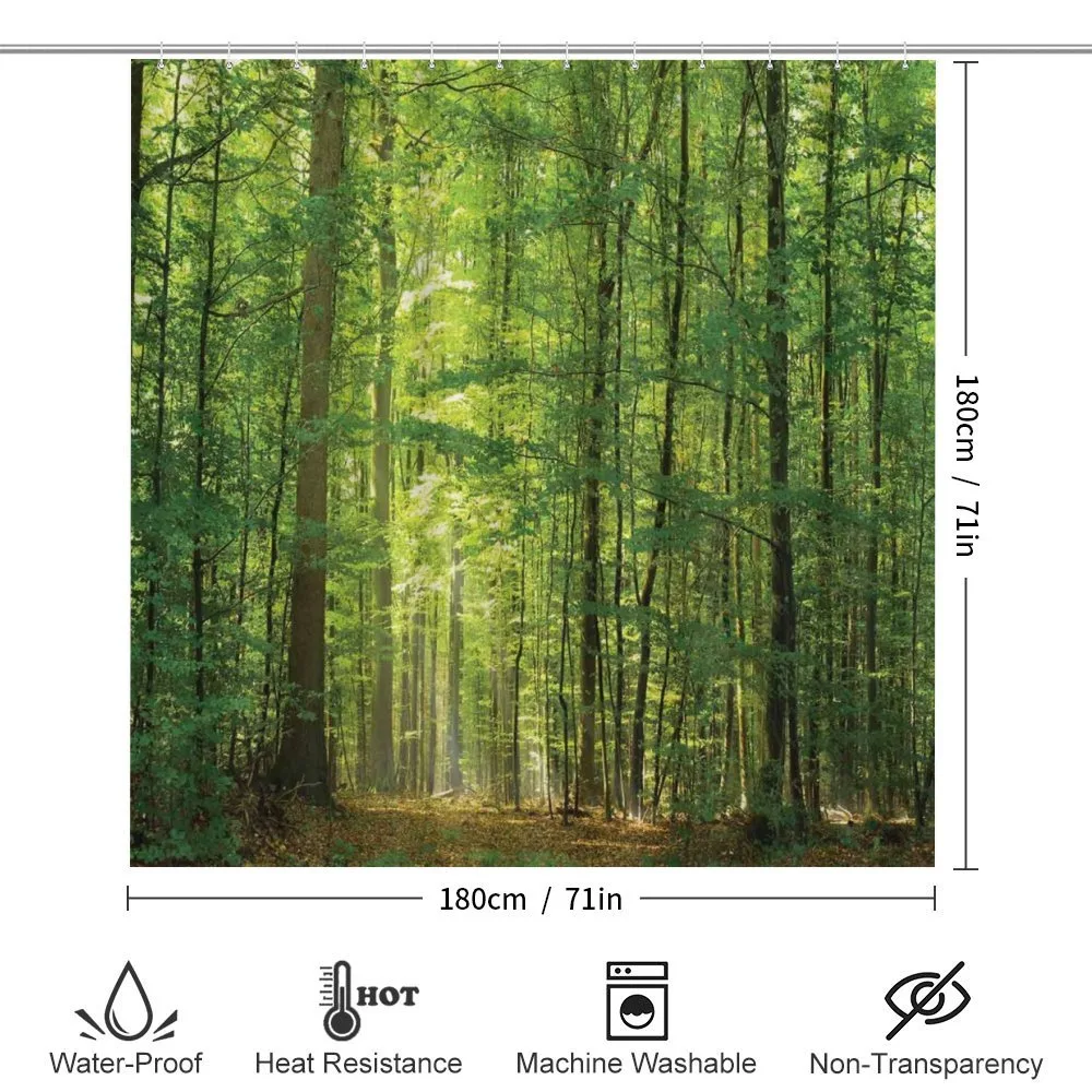 Foliage Forest Summer — Detail 2