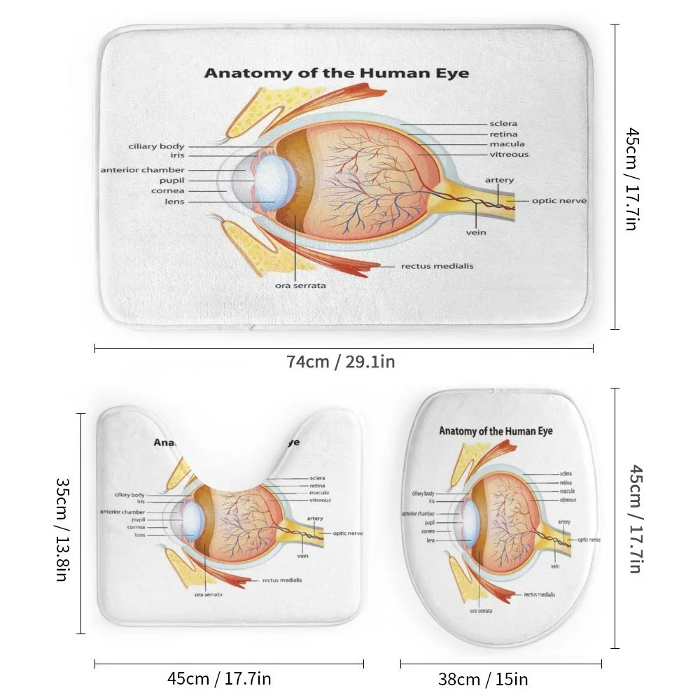 Eye Cornea Pupils — Detail 1