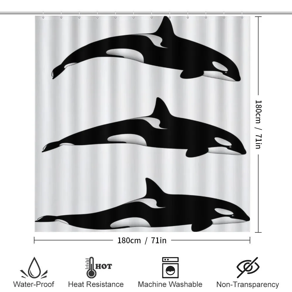 Orca Killer Whales — Detail 2