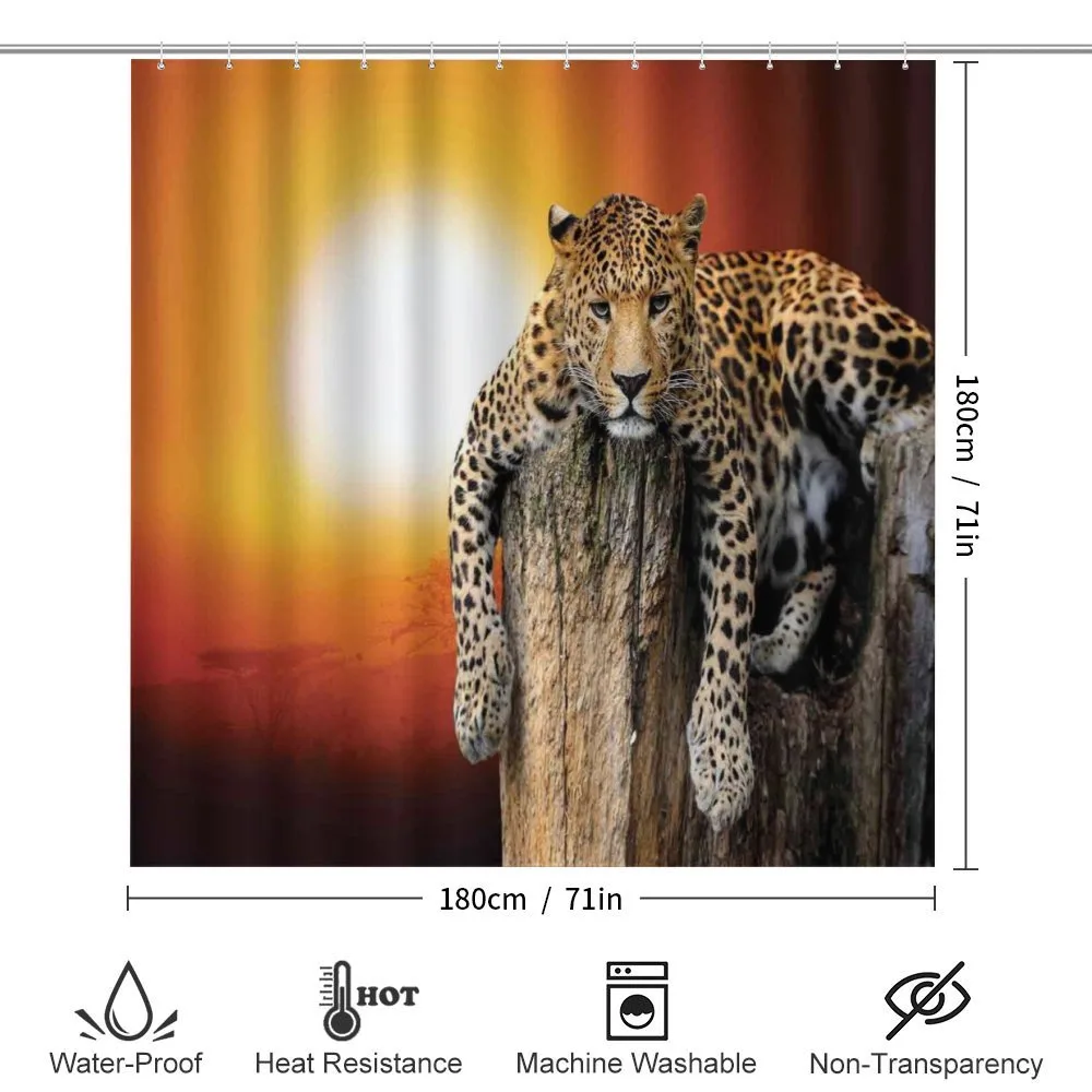 Safari Leopard on Tree — Detail 2