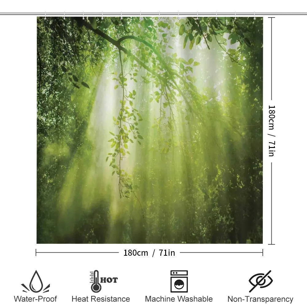 Sunbeams in Woodland — Detail 2
