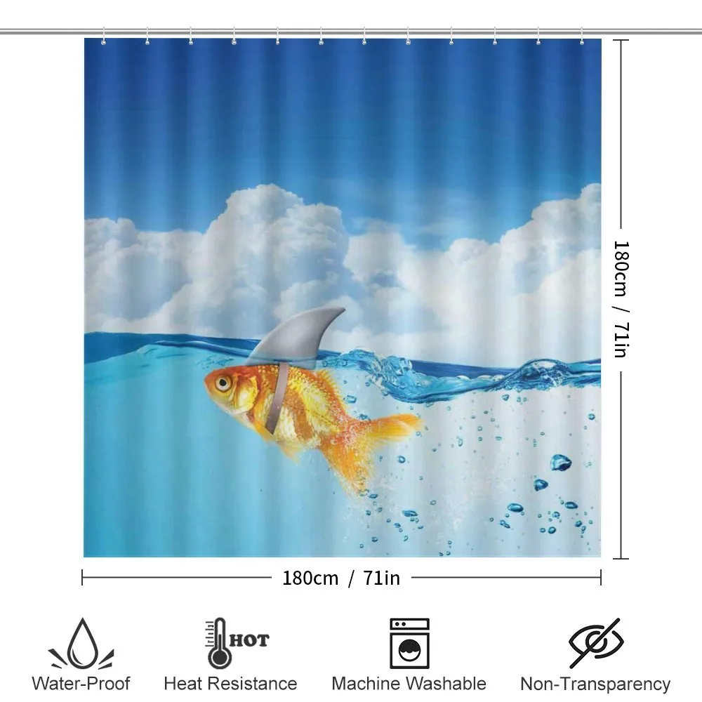 Goldfish with Shark Fin — Detail 2