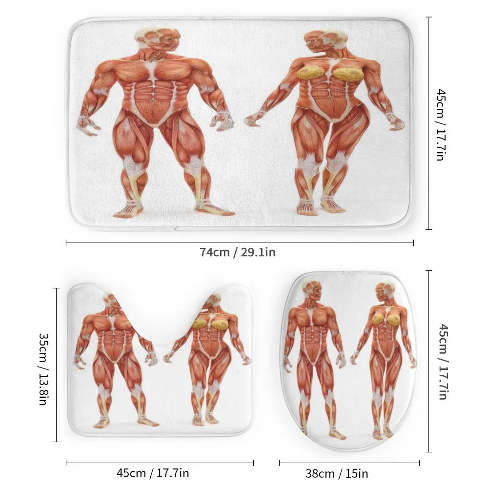 Male Human Body — Detail 1