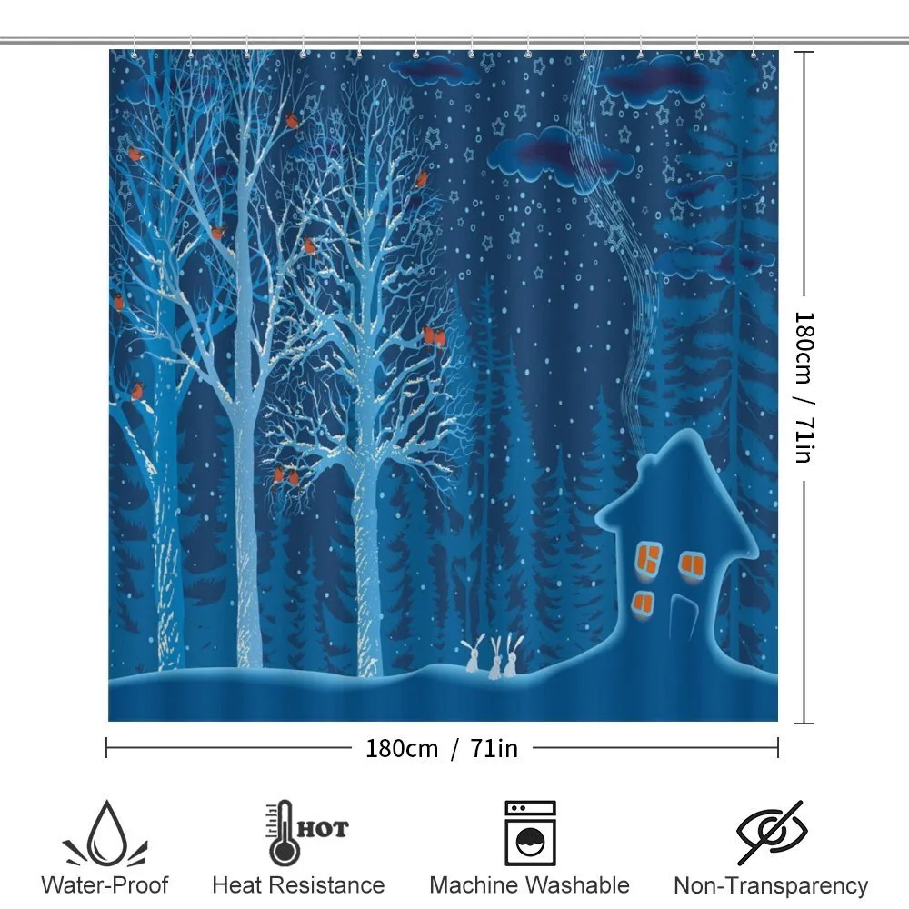 Winter Scenery with Show — Detail 2