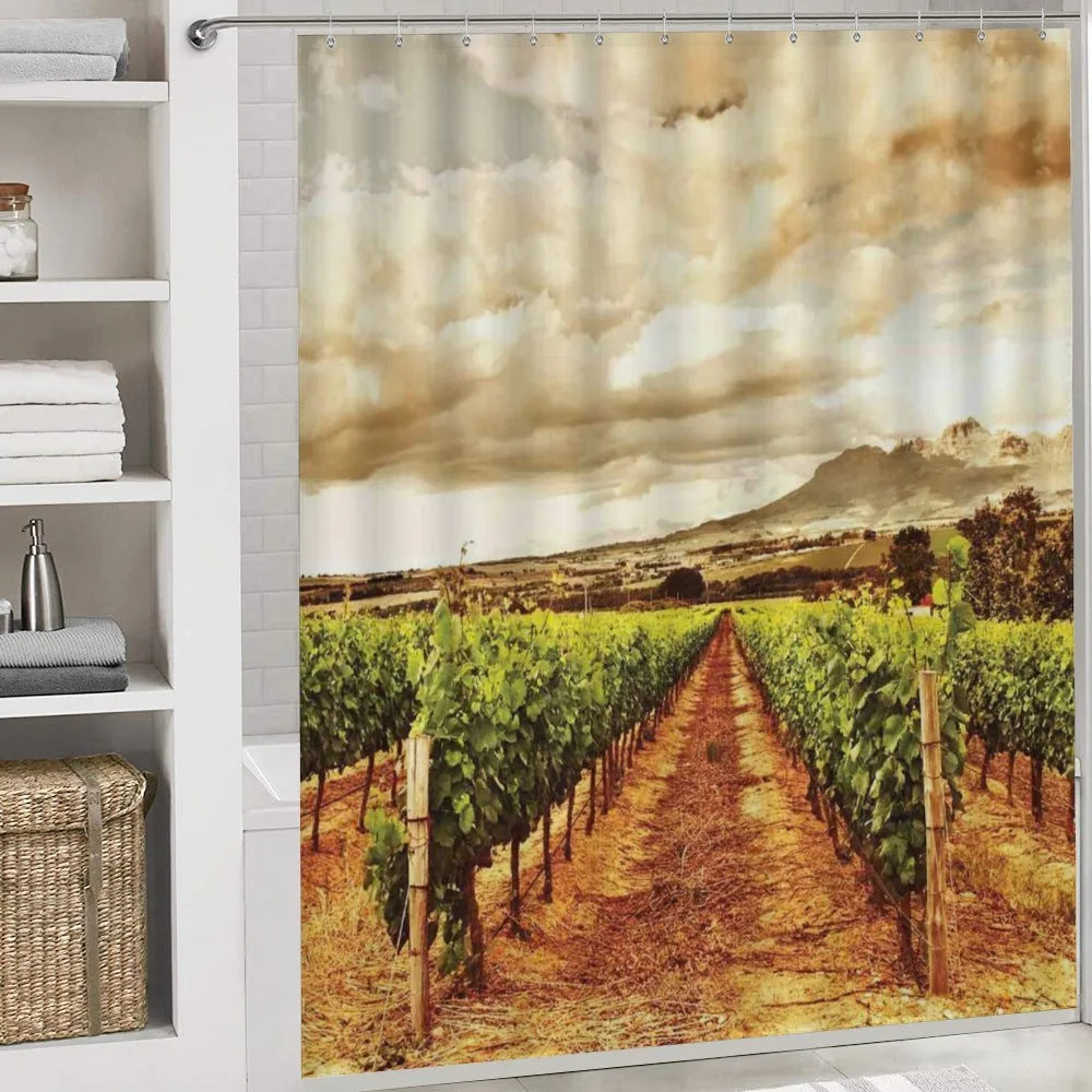 Cloudy Vineyard in Fall — Detail 4