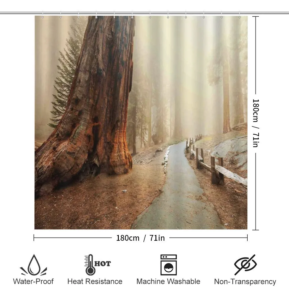 Foggy Forest Woods — Detail 2
