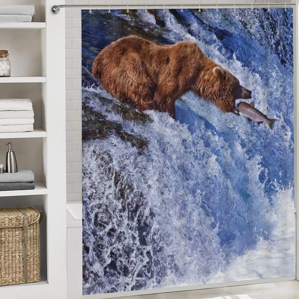 Grizzly Bear at Katmai — Detail 4