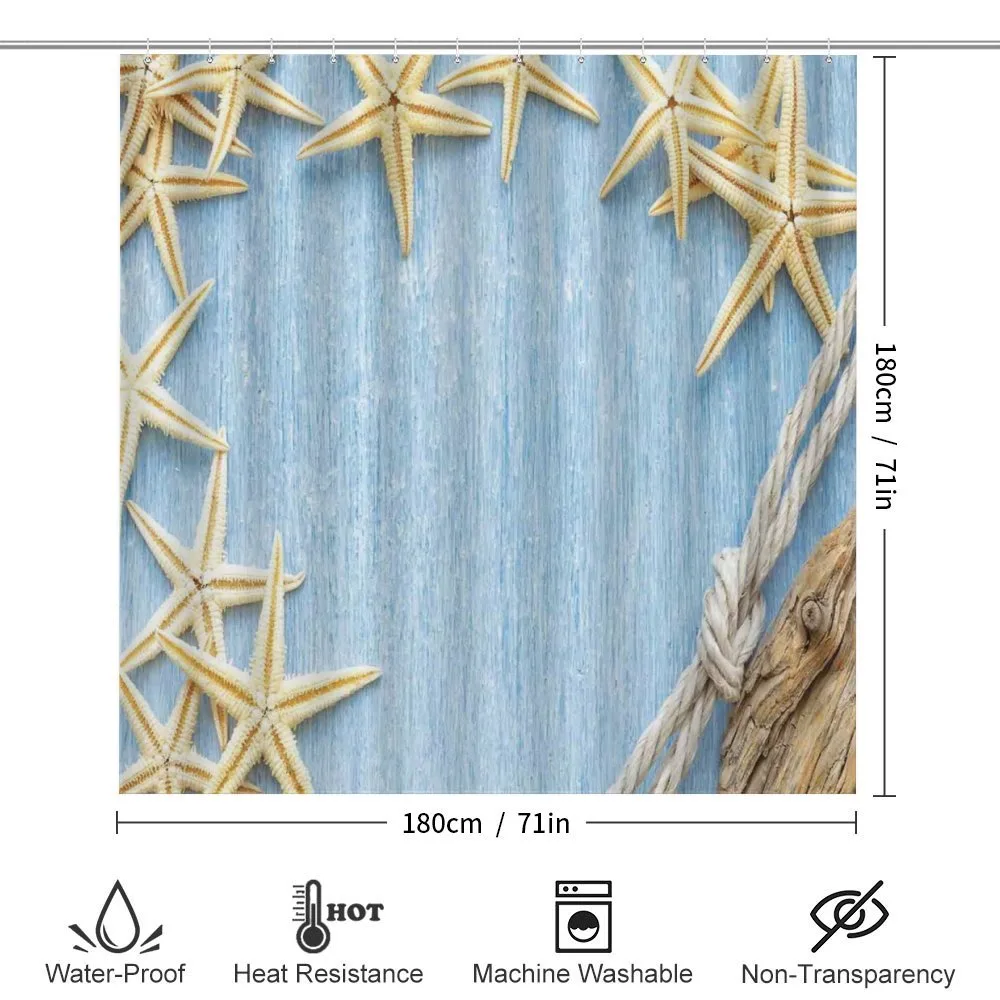 Maritime Beach Shell — Detail 2