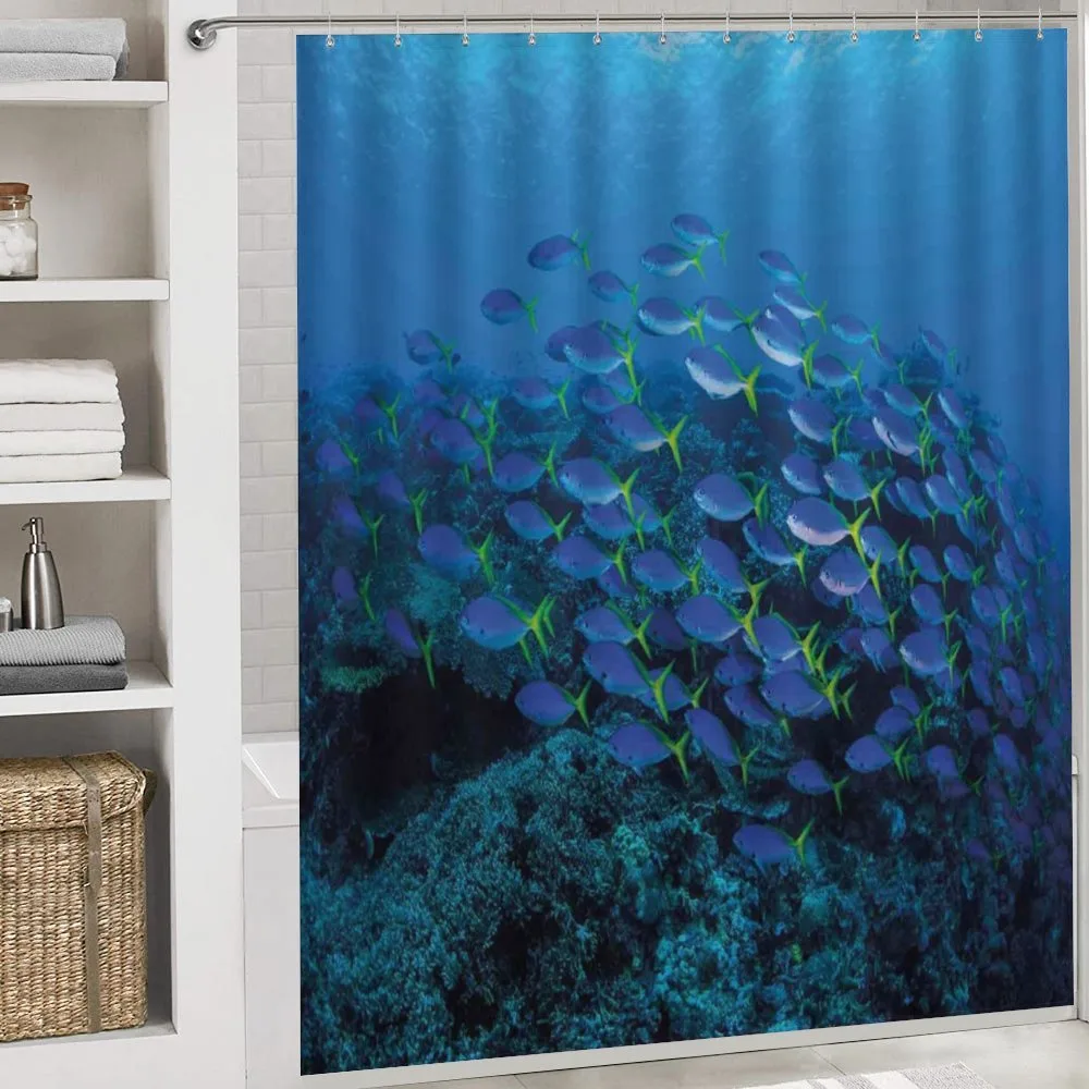 Shoal Reef Ocean — Detail 4